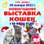 Новогодняя выставка кошек 5 января 2022 года