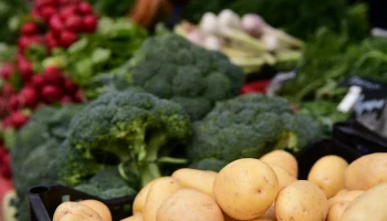 Ярмарки выходного дня в Краснодаре: свежие продукты от фермеров Ярмарки выходного дня в Краснодаре: свежие продукты от фермеров