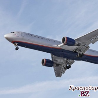 В небе над Петербургом произошло столкновение самолета с птицей