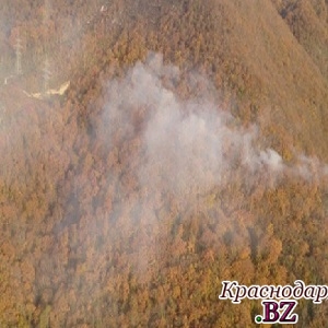 Возгорание в национальном парке Лазоревского района ликвидировано