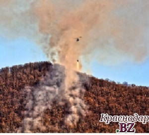 Лесной пожар в Туапсинском районе локализован