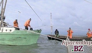 На Кубани вступил в силу запрет на рыбную ловлю в лиманах