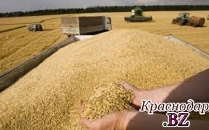 Россия становится крупнейшим экспортером пшеницы