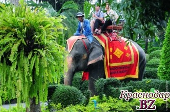 В Таиланде слон убил английского туриста
