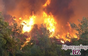В Сочи ликвидировано несколько лесных пожаров