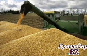 Россия становится крупнейшим экспортером пшеницы