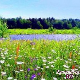 В Краснодарском крае добавился памятник природы