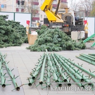​На Театральной площади Краснодара началась установка новогодней елки