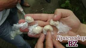 Житель Средней Азии осужден за поставку наркотиков на Кубань