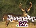 Ученые РФ и Казахстана займутся возвращением в природу тугайного оленя