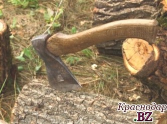 В поселке Выселки частный предприниматель вырубил деревья на 1,2 миллиона рублей