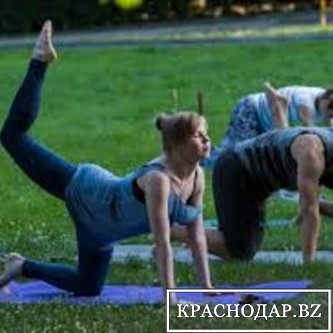 Фитнес в России