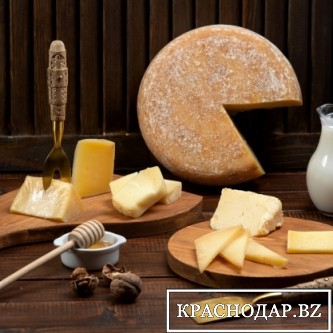 Самый крупный в Европе завод по производству сыров будет на Кубани