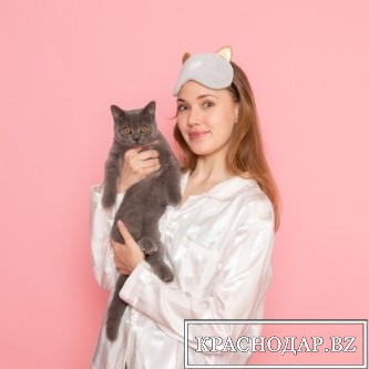 В Ростове на Дону состоится WCF выставка кошек 31 октября и 01 ноября 2020г.