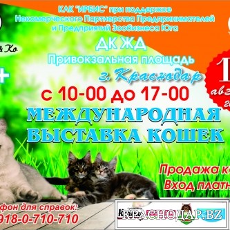 Международная Выставка Кошек в Краснодаре от WCF