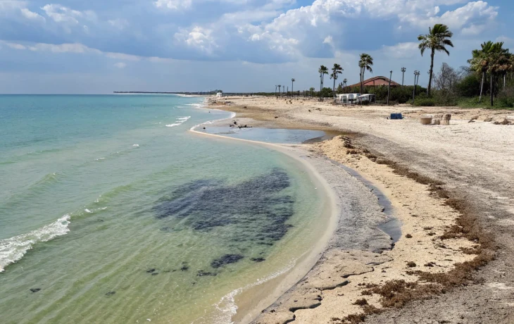 Очищение побережья Краснодарского края продолжается: мазут больше не найден, работы идут полным ходом Очищение побережья Краснодарского края продолжается: мазут больше не найден, работы идут полным ходом