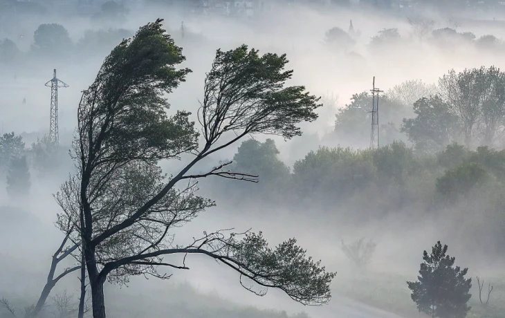 Погода в Краснодаре и крае: туман, ветер и снег в горах Сочи 15–16 мая Погода в Краснодаре и крае: туман, ветер и снег в горах Сочи 15–16 мая