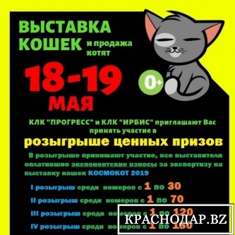 Выставка кошек в Новороссийске по системе WCF 18-19 мая "Космокот 2019"
