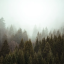 В Краснодарском крае 1 октября ожидается густой туман