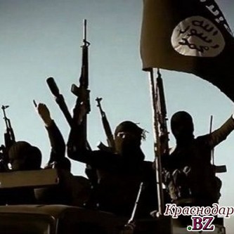 Задержано 546 бойцов "Исламского государства"