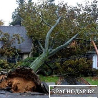 Ураган в Москве