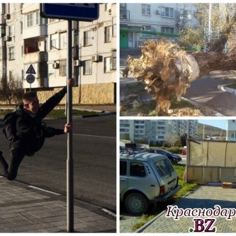 Ожидания об урагане в Новороссийске оправдали себя