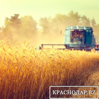 Россельхозбанк представит цифровые агротехнологии на VIII Дне поля Юга России