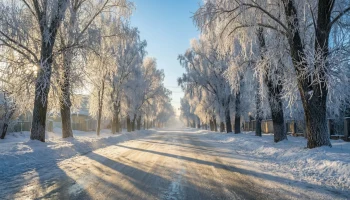 Антициклон накрывает Кубань: осадки прекращаются, но морозы усиливаются Антициклон накрывает Кубань: осадки прекращаются, но морозы усиливаются