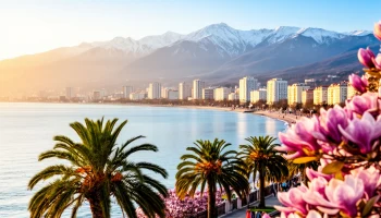 Турпоток в Сочи с начала 2026 года достиг миллиона гостей Турпоток в Сочи с начала 2026 года достиг миллиона гостей