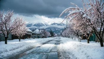 Мартовские морозы на Кубани: похолодание усилится, дожди перейдут в снег Мартовские морозы на Кубани: похолодание усилится, дожди перейдут в снег