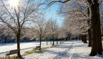 Весеннее равноденствие: когда день станет длиннее ночи Весеннее равноденствие: когда день станет длиннее ночи