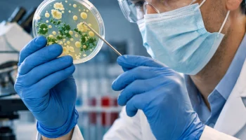 В России раскрыли тайный механизм защиты бактерий В России раскрыли тайный механизм защиты бактерий